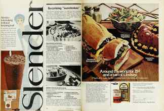 Better Homes & Gardens June 1974 Magazine Article: Page 106