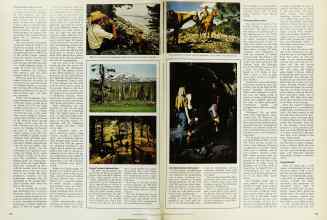 Better Homes & Gardens June 1974 Magazine Article: Page 122