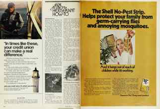 Better Homes & Gardens June 1974 Magazine Article: Page 134