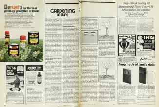 Better Homes & Gardens June 1974 Magazine Article: GARDENING IN JUNE