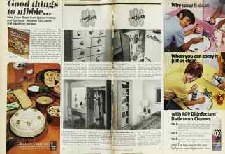 Better Homes & Gardens July 1974 Magazine Article: Page 36
