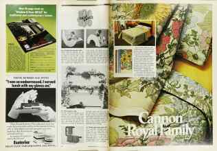 Better Homes & Gardens July 1974 Magazine Article: Page 42