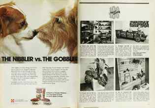 Better Homes & Gardens July 1974 Magazine Article: Page 44