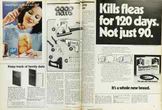 Better Homes & Gardens July 1974 Magazine Article: Page 86