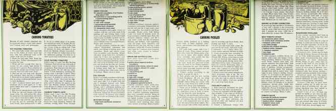 Better Homes & Gardens August 1974 Magazine Article: Page 74