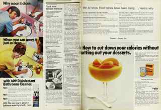 Better Homes & Gardens August 1974 Magazine Article: Page 84