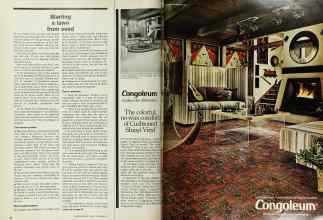 Better Homes & Gardens September 1974 Magazine Article: Page 20