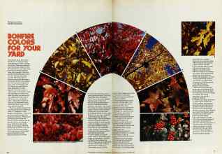 Better Homes & Gardens September 1974 Magazine Article: BONFIRE COLORS FOR YOUR YARD