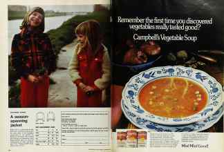 Better Homes & Gardens September 1974 Magazine Article: Page 96