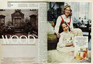 Better Homes & Gardens October 1974 Magazine Article: Page 46