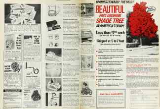 Better Homes & Gardens October 1974 Magazine Article: Page 150