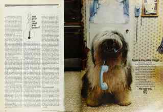 Better Homes & Gardens November 1974 Magazine Article: Page 24