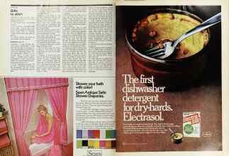 Better Homes & Gardens November 1974 Magazine Article: Page 42