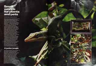 Better Homes & Gardens November 1974 Magazine Article: Small worlds for plants and pets