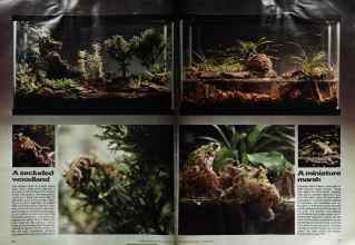 Better Homes & Gardens November 1974 Magazine Article: Page 106