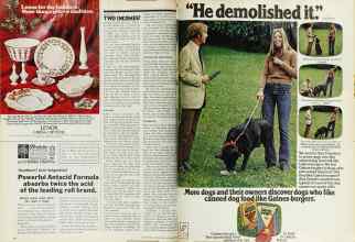 Better Homes & Gardens November 1974 Magazine Article: Page 156