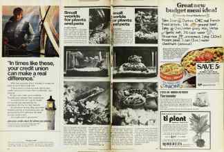 Better Homes & Gardens November 1974 Magazine Article: Page 158