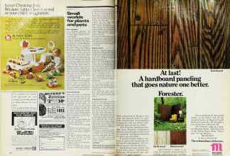 Better Homes & Gardens November 1974 Magazine Article: Page 160