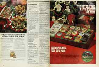 Better Homes & Gardens December 1974 Magazine Article: Page 100