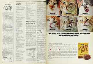 Better Homes & Gardens January 1975 Magazine Article: Page 40