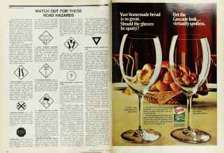 Better Homes & Gardens January 1975 Magazine Article: Page 48