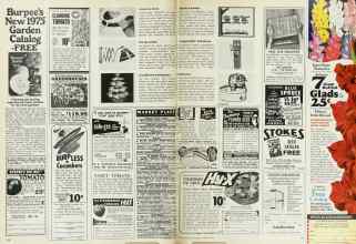 Better Homes & Gardens January 1975 Magazine Article: Page 98