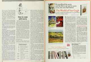 Better Homes & Gardens February 1975 Magazine Article: Page 38