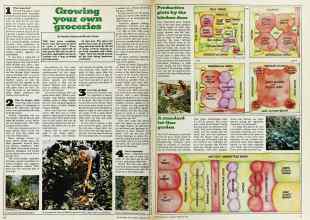 Better Homes & Gardens February 1975 Magazine Article: Growing your own groceries