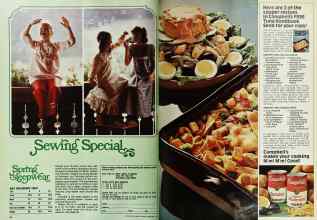 Better Homes & Gardens February 1975 Magazine Article: Page 86
