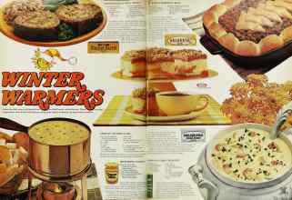 Better Homes & Gardens February 1975 Magazine Article: Page 96