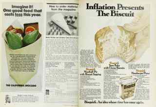 Better Homes & Gardens March 1975 Magazine Article: Page 90