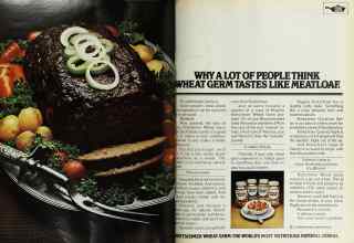 Better Homes & Gardens March 1975 Magazine Article: Page 96