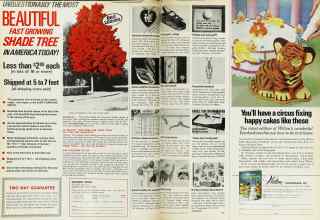 Better Homes & Gardens March 1975 Magazine Article: Page 124