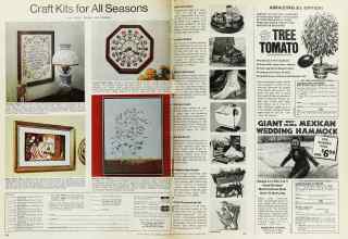 Better Homes & Gardens March 1975 Magazine Article: Page 128