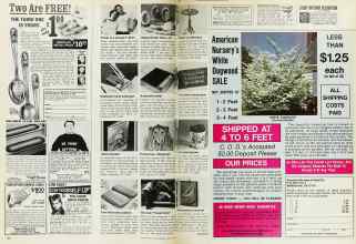 Better Homes & Gardens March 1975 Magazine Article: Page 130