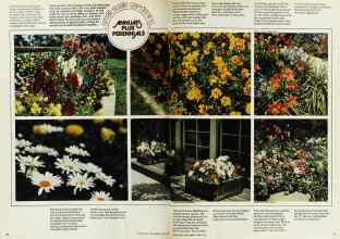 Better Homes & Gardens April 1975 Magazine Article: Page 78