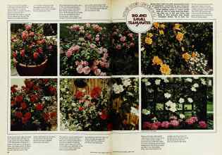 Better Homes & Gardens April 1975 Magazine Article: Page 80