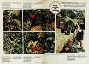 Better Homes & Gardens April 1975 Magazine Article: Page 82