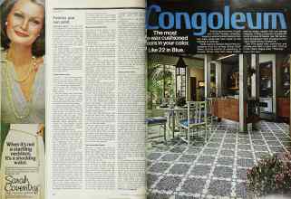 Better Homes & Gardens May 1975 Magazine Article: Page 20