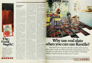 Better Homes & Gardens May 1975 Magazine Article: Page 30