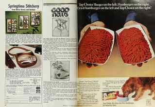 Better Homes & Gardens May 1975 Magazine Article: Page 48