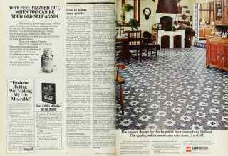 Better Homes & Gardens May 1975 Magazine Article: Page 54