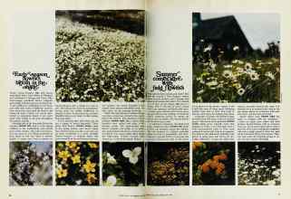 Better Homes & Gardens May 1975 Magazine Article: Page 76