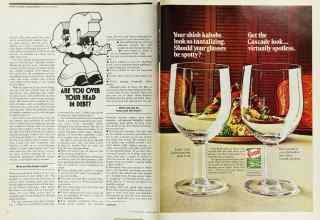 Better Homes & Gardens June 1975 Magazine Article: Page 8