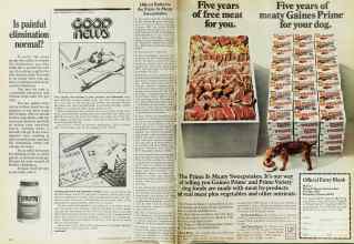 Better Homes & Gardens June 1975 Magazine Article: Page 42