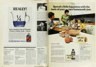 Better Homes & Gardens August 1975 Magazine Article: Page 26