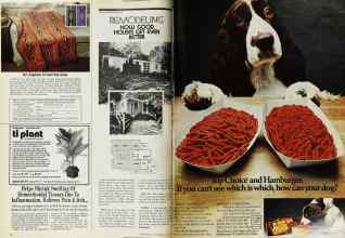 Better Homes & Gardens August 1975 Magazine Article: Page 46
