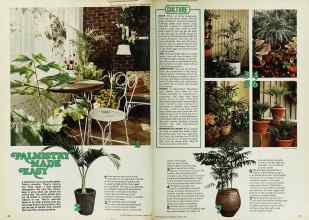 Better Homes & Gardens August 1975 Magazine Article: PALMISTRY MADE EASY