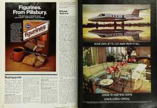 Better Homes & Gardens August 1975 Magazine Article: Page 76