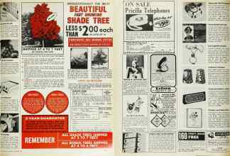 Better Homes & Gardens September 1975 Magazine Article: Page 122